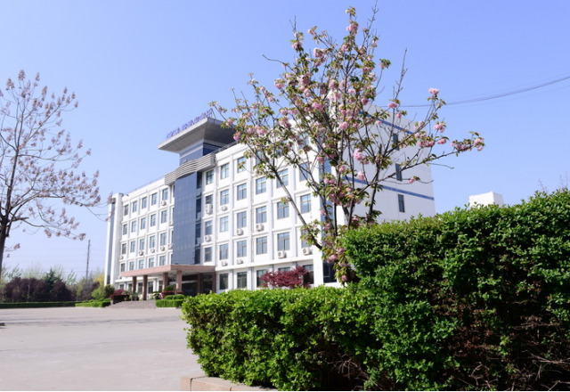 半岛集团公司_半岛（中国）荣获“2018年度全市安全生产工作先进单位”荣誉