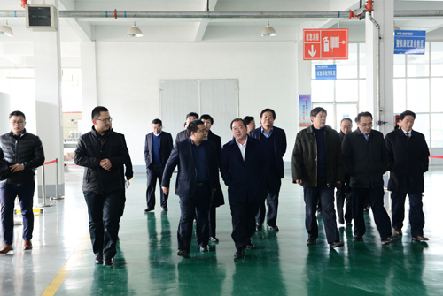 王顶岐参观考察半岛集团公司_半岛（中国）公司